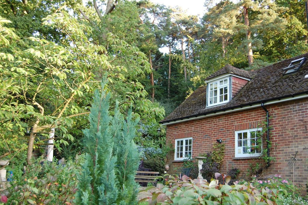 The Haven At Talysarn Apartment Ascot  Ruang foto
